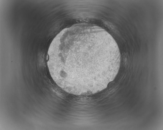 X0000068831060200606021637