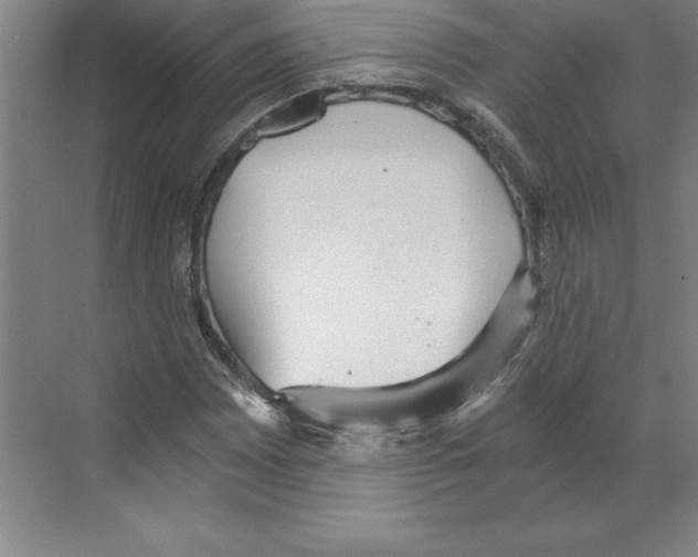 X0000068831065200606021637