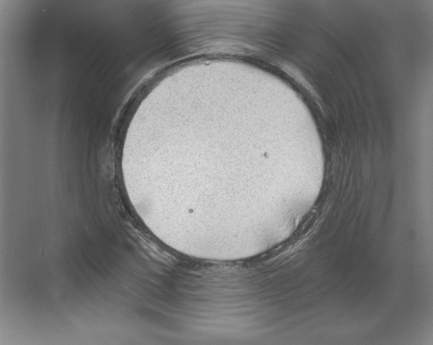 X0000068831067200606021637