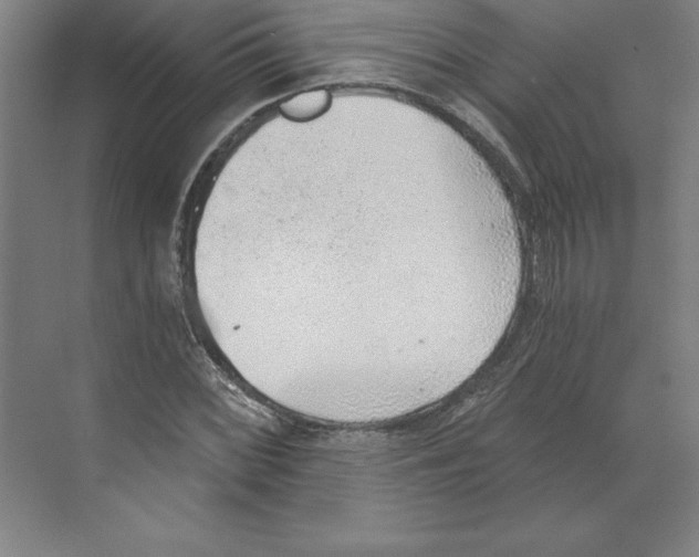 X0000068831068200606021637