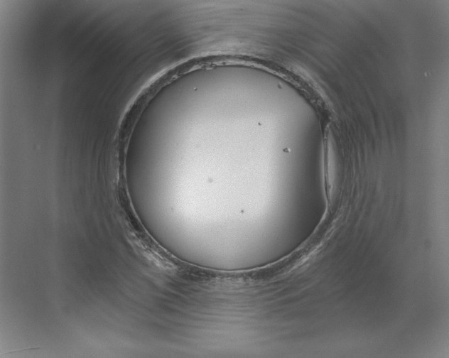 X0000068831069200606021637