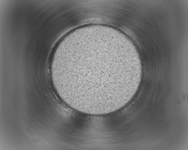 X0000068831070200606021637