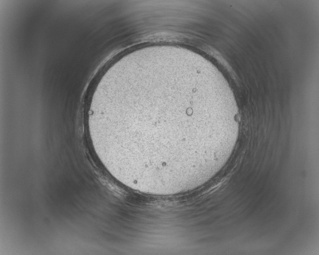 X0000068831075200606021637