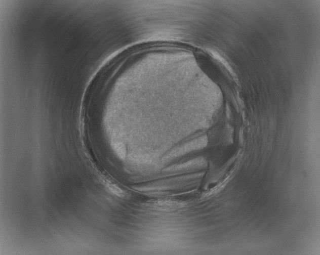 X0000068831077200606021637