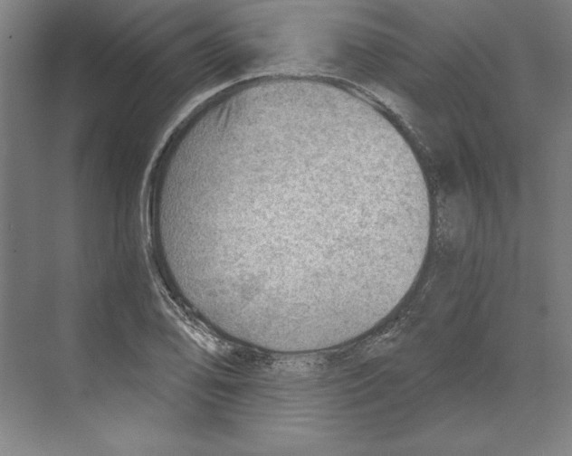 X0000068831078200606021637