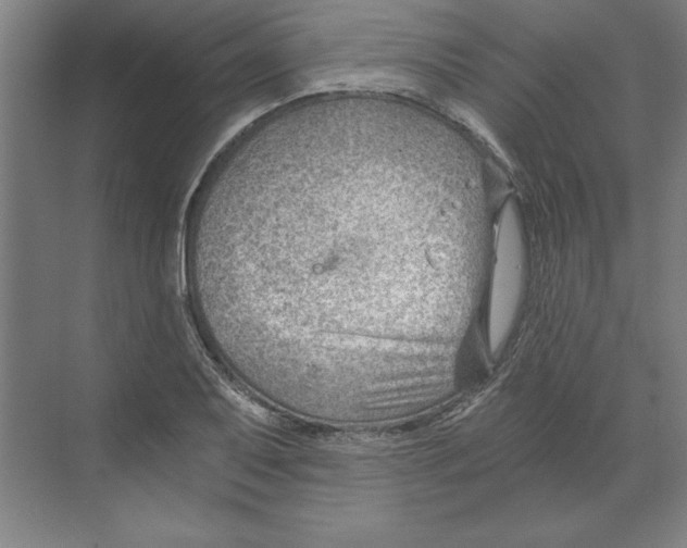 X0000068831079200606021637