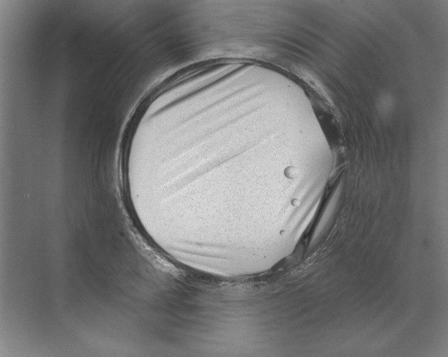 X0000068831080200606021637