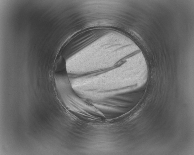 X0000068831081200606021637