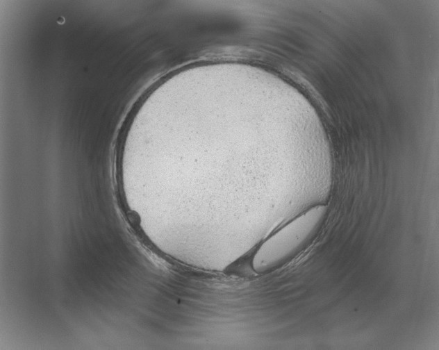 X0000068831083200606021636