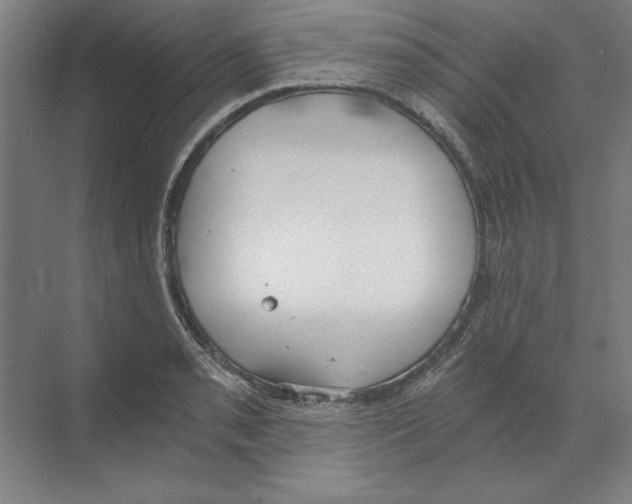 X0000068831085200606021636