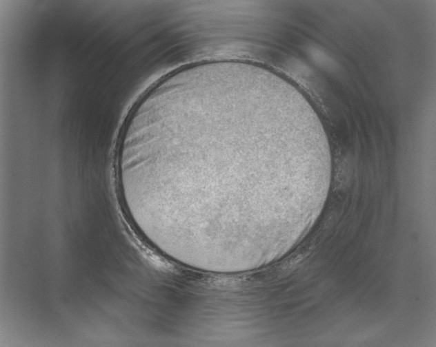 X0000068831086200606021636