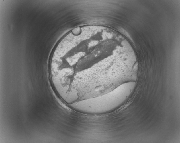 X0000068831087200606021636