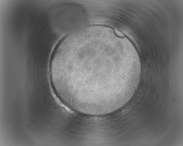 X0000068831088200606021636