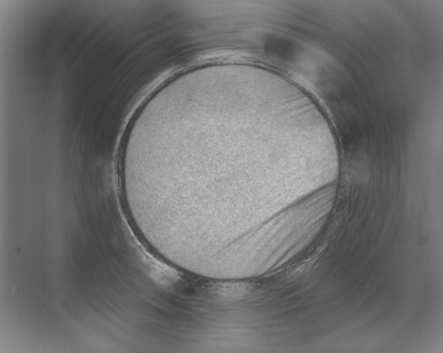 X0000068831090200606021636