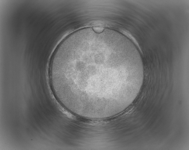 X0000068831091200606021636