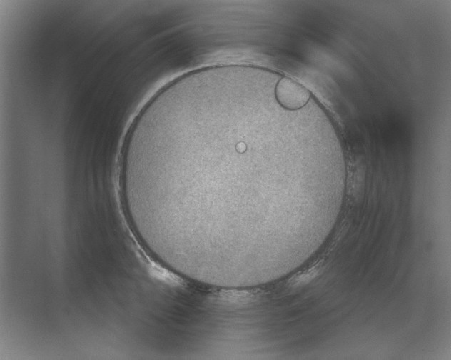 X0000068831094200606021636