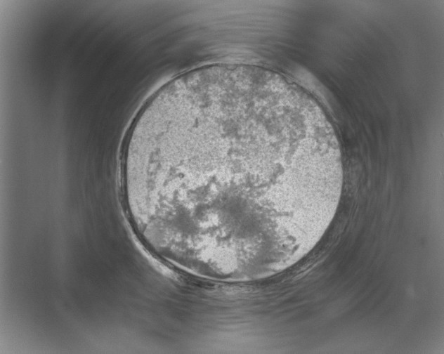 X0000068831095200606021636