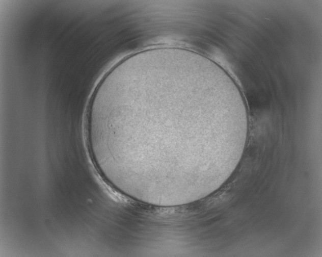 X0000068831098200606021636