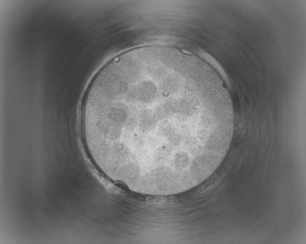 X0000068831099200606021636