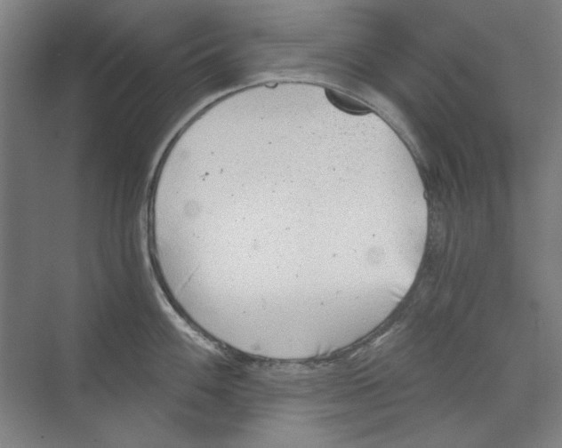 X0000068831100200606021636