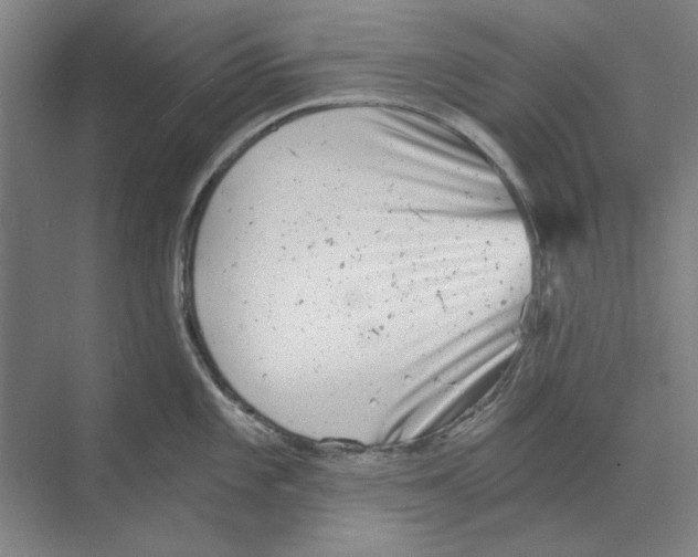 X0000068831101200606021636