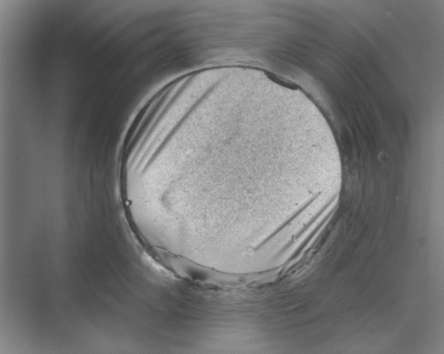 X0000068831102200606021636