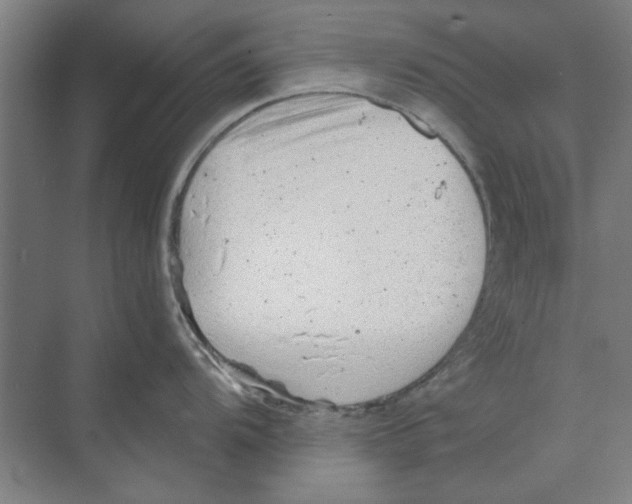 X0000068831104200606021636