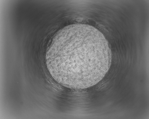 X0000068831105200606021635