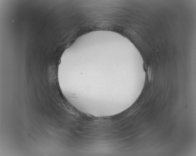 X0000068831107200606021635