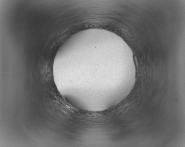 X0000068831109200606021635