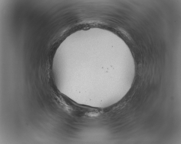 X0000068831111200606021635