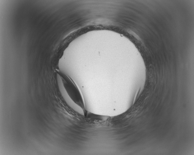 X0000068831112200606021635