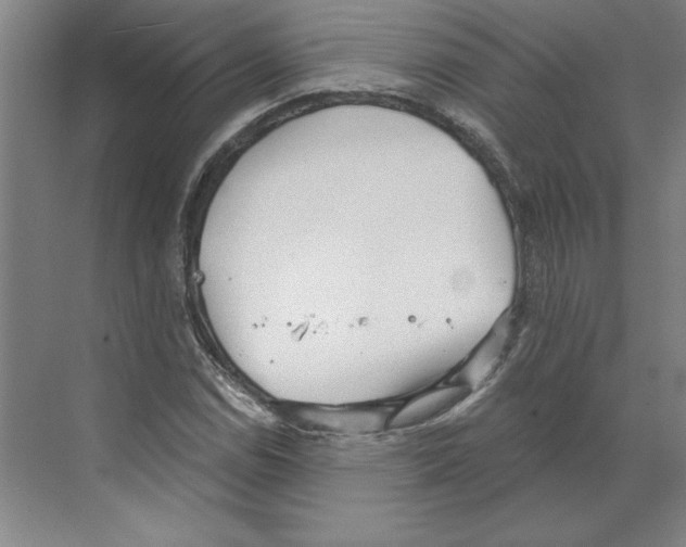 X0000068831114200606021635