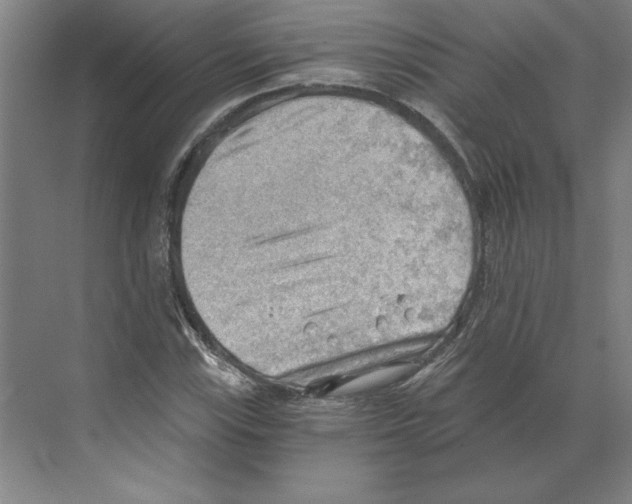 X0000068831115200606021636