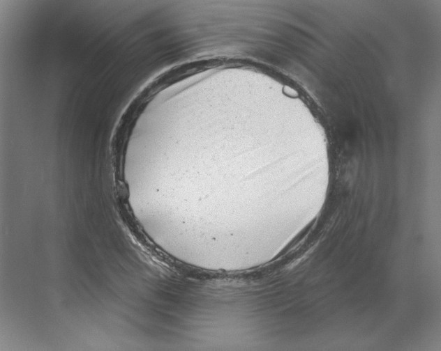 X0000068831118200606021636