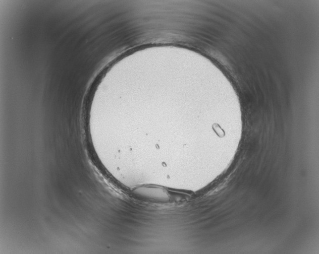 X0000068831122200606021636