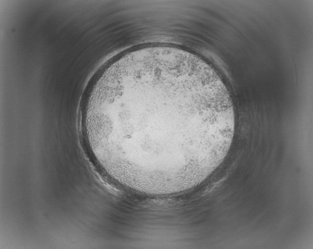 X0000068831125200606021636