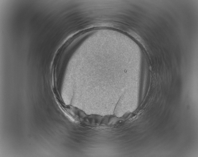 X0000068831127200606021636