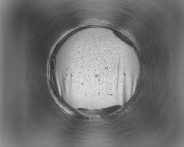 X0000068831128200606021636