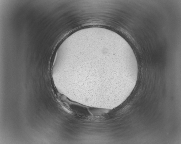 X0000068831129200606021636