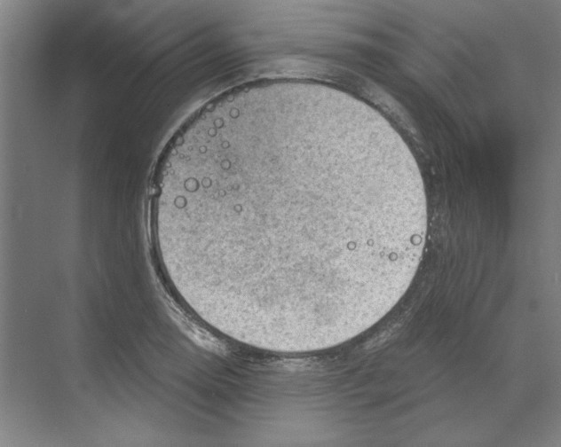 X0000068831130200606021636