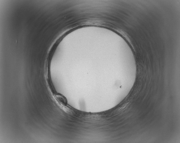 X0000068831131200606021636