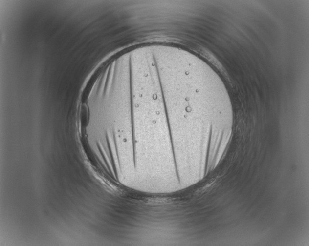 X0000068831132200606021636