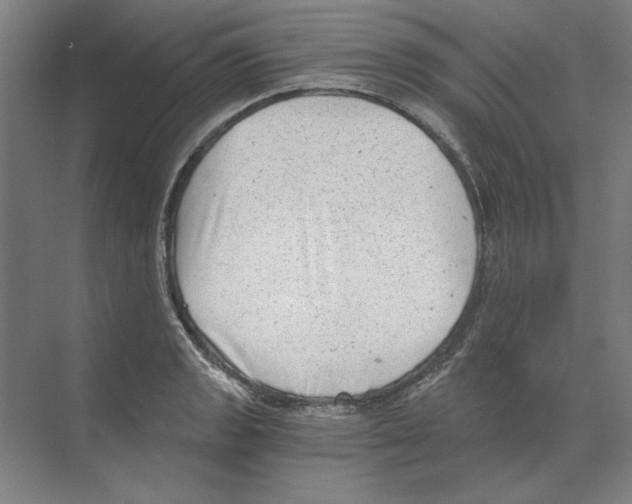 X0000068831133200606021636