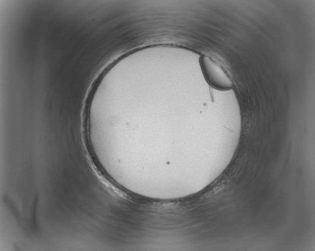 X0000068831135200606021636