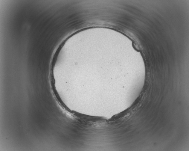 X0000068831136200606021636