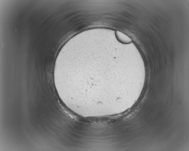 X0000068831137200606021636