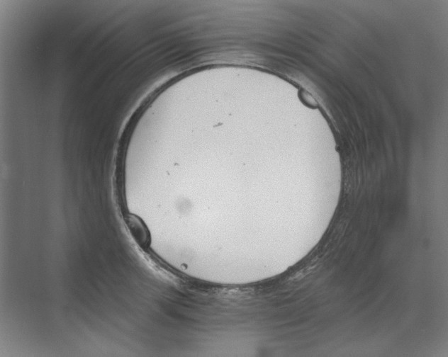 X0000068831139200606021636