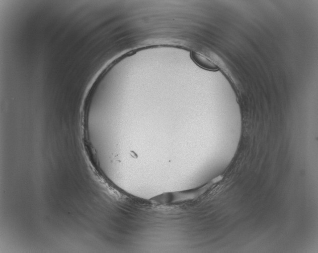 X0000068831140200606021636