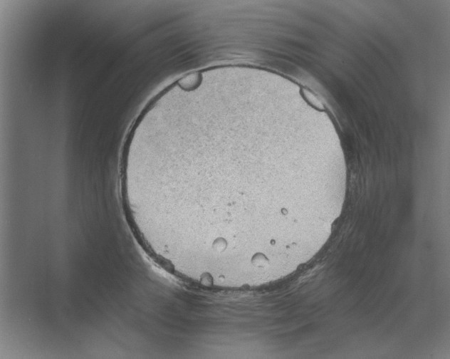 X0000068831143200606021636